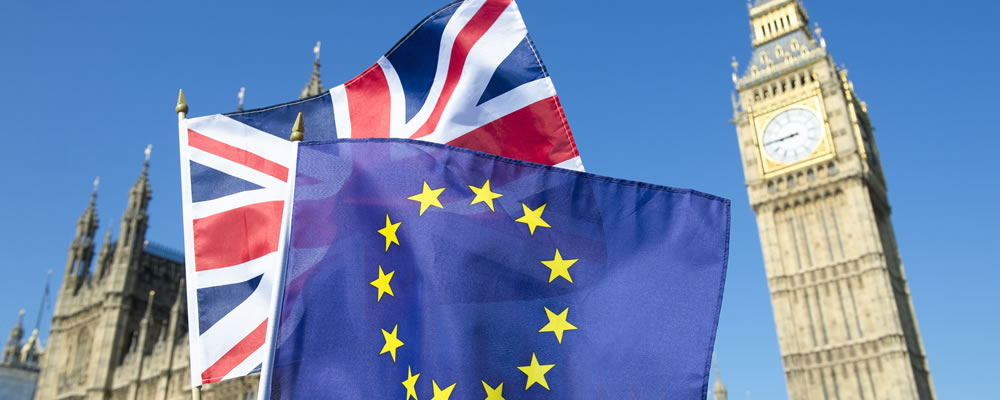 Article 50 1