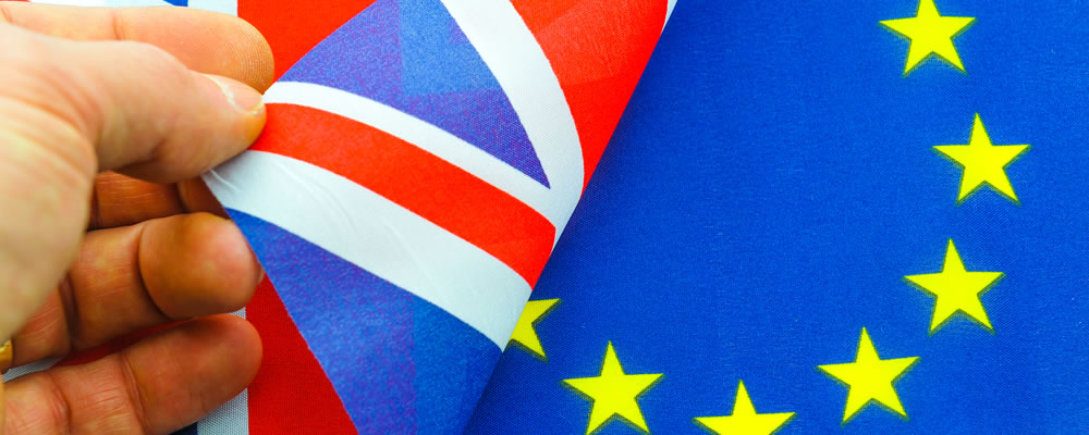EU referendum 