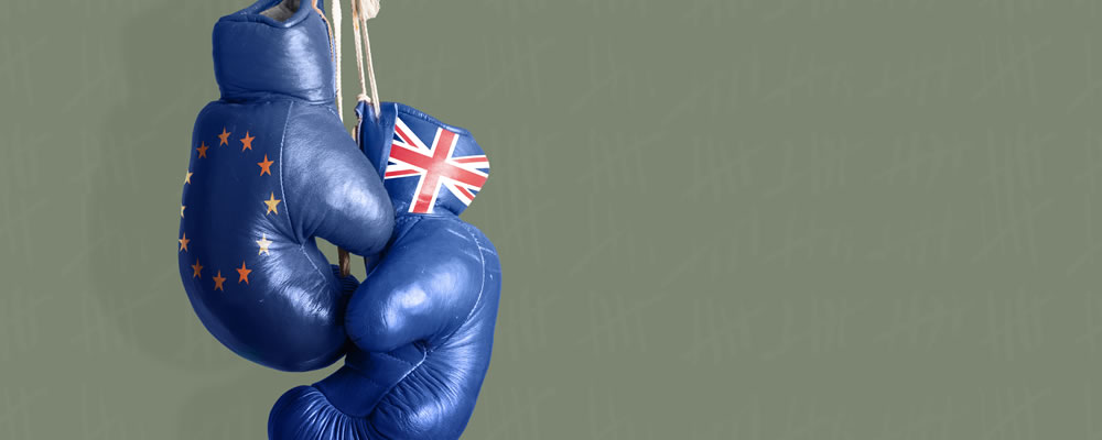 Should the UK stay in the EU or Leave?