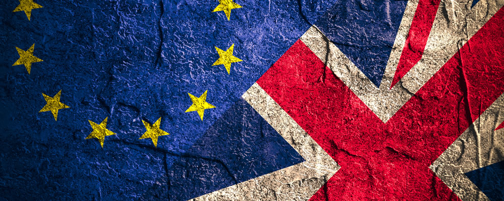 EU Ref Vote