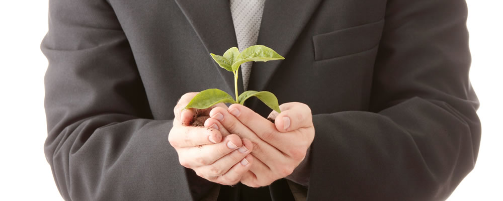 Help employees grow in the workplace