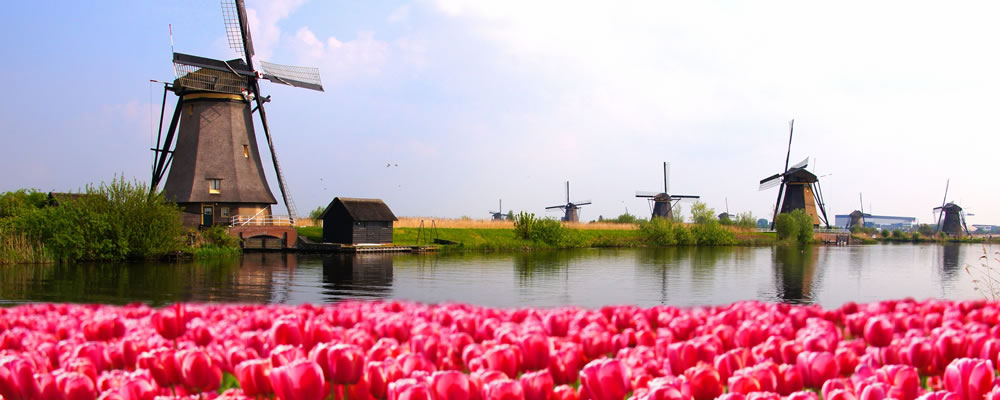 Healthcare options in The Netherlands