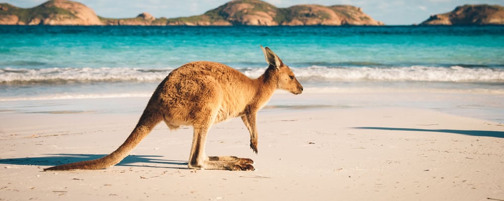 Moving to Australia
