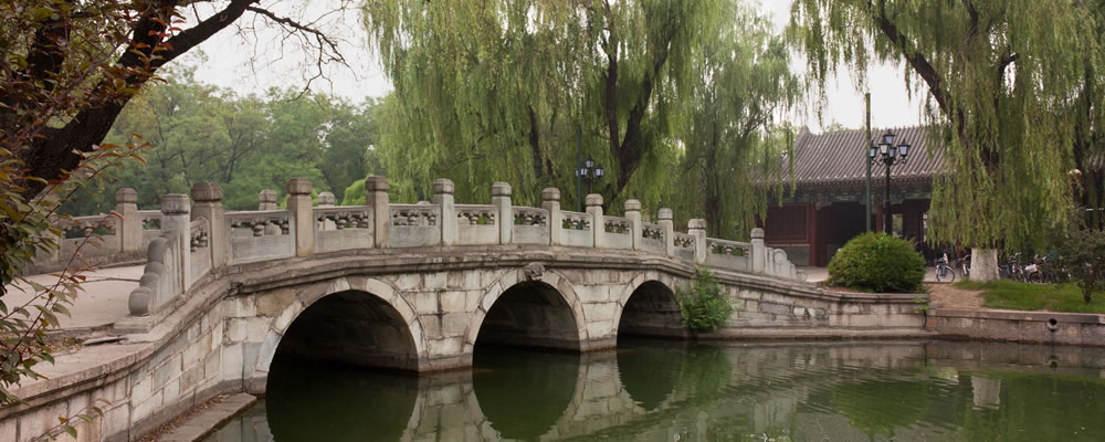 Study in China 