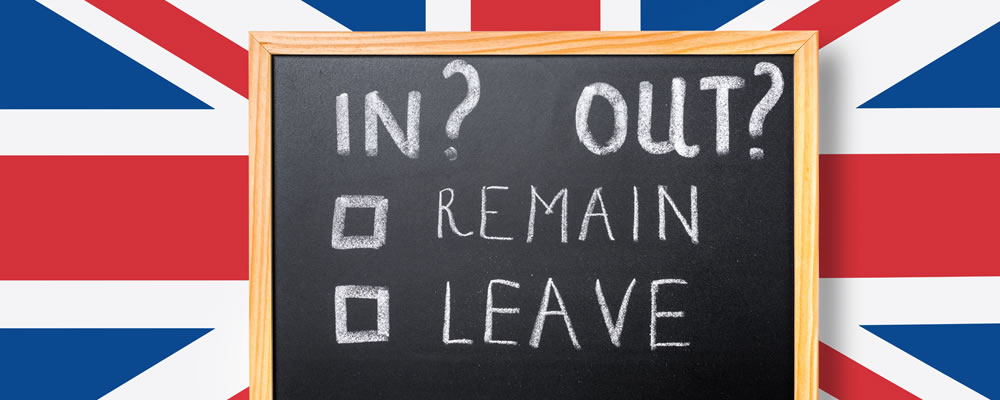 Remain or Leave