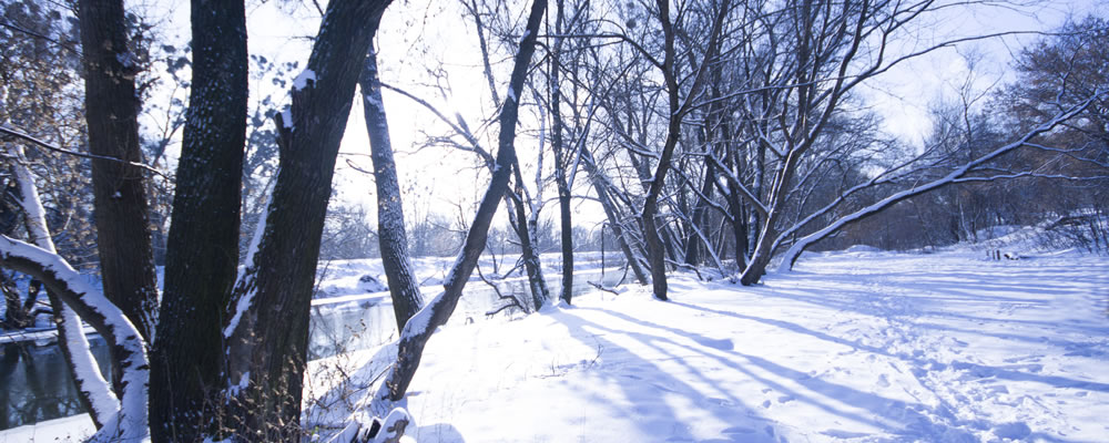 cold emigration locations