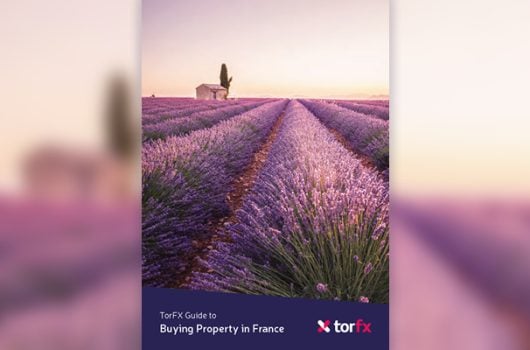 TorFX Buying Property in France Guide
