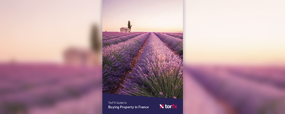 TorFX Buying Property in France Guide